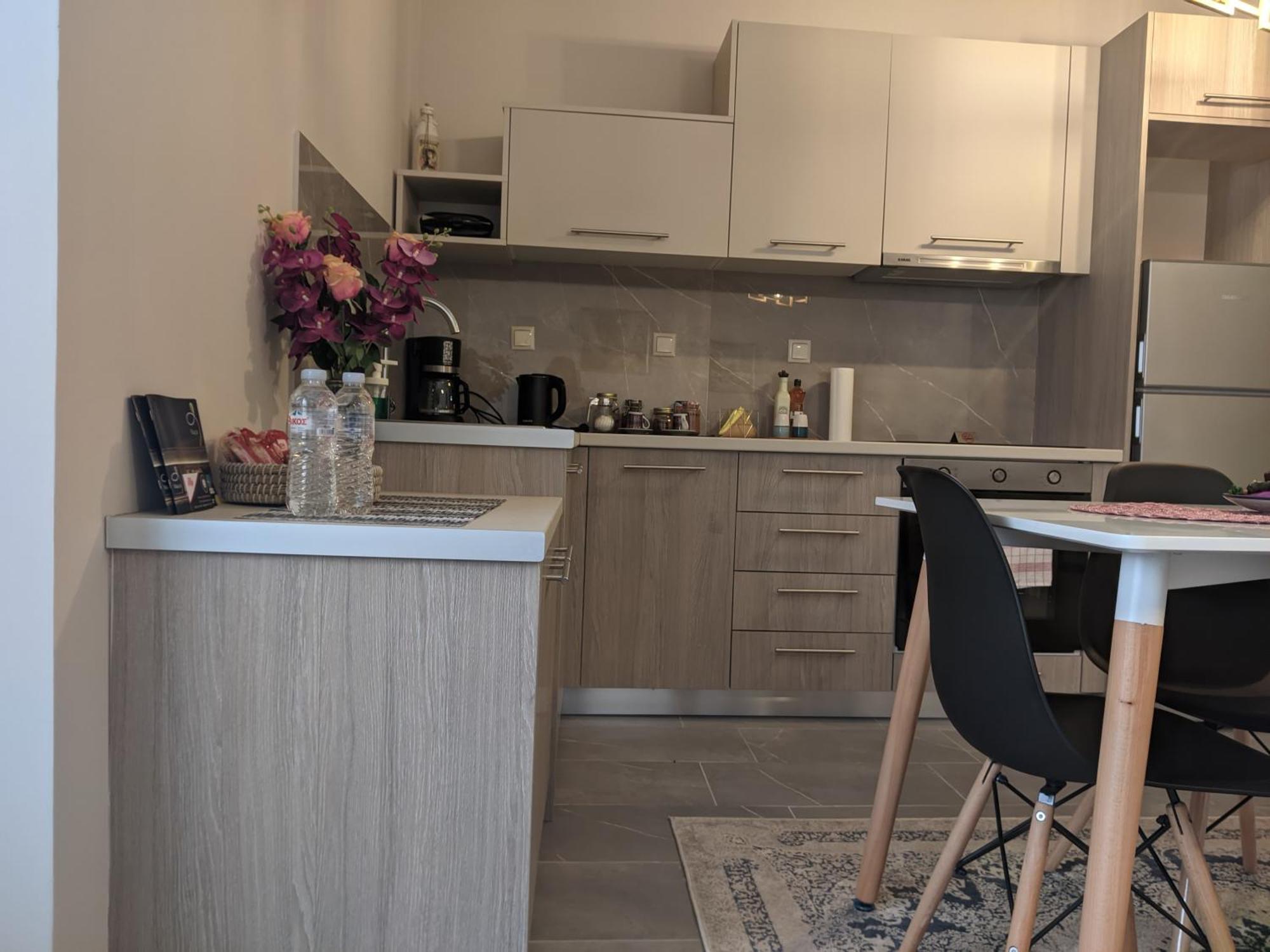 Aristo Central Apartments Ioannina Exterior foto