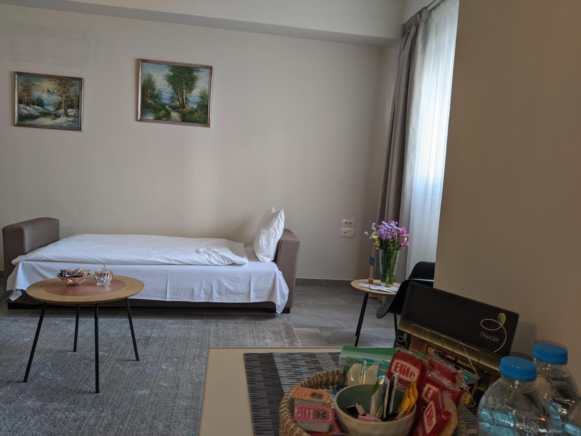 Aristo Central Apartments Ioannina Exterior foto